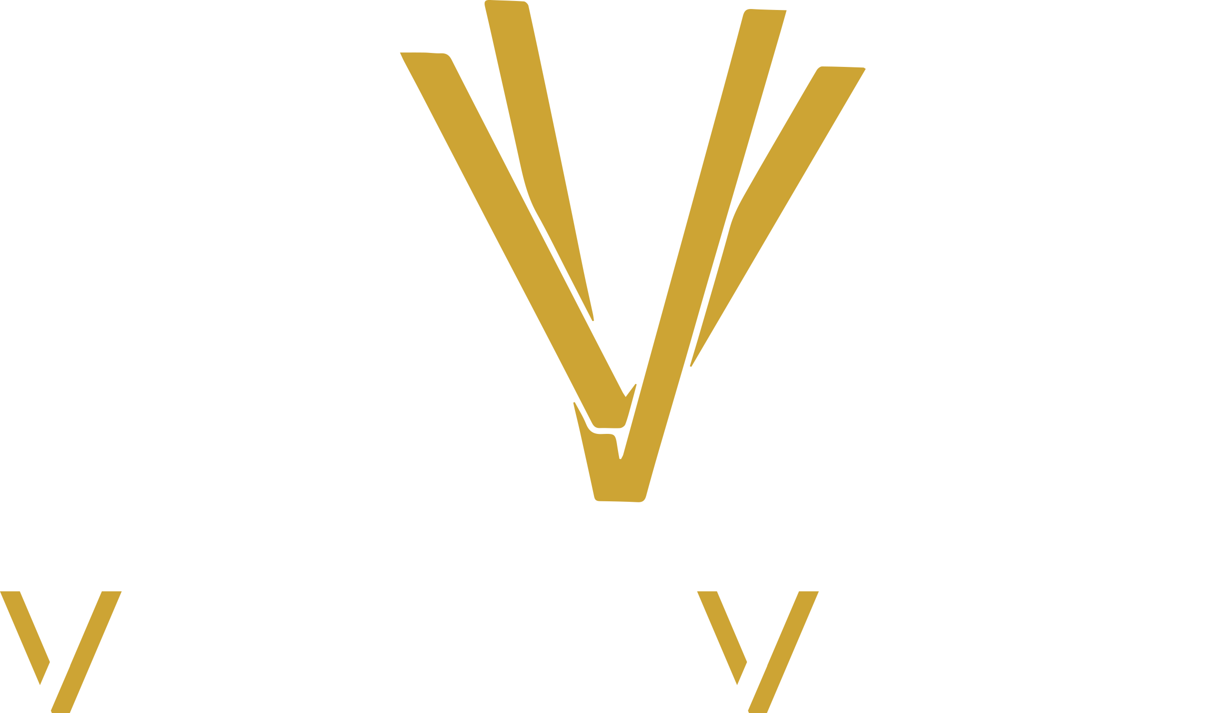 Vintervista a Caserta